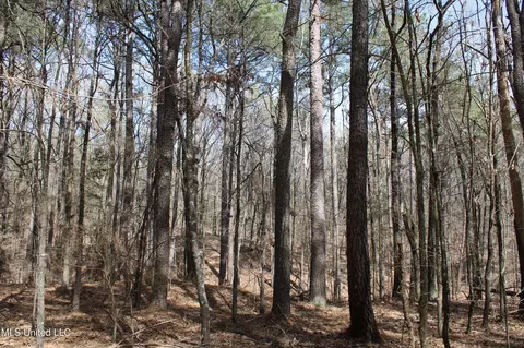 0 Highway 310, Como, MS 38619 photo 18