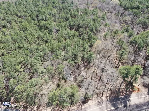 0 Highway 310, Como, MS 38619 photo 2