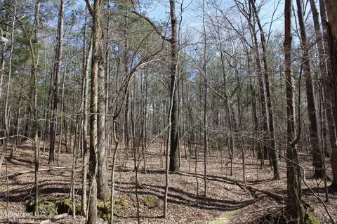0 Highway 310, Como, MS 38619 photo 37