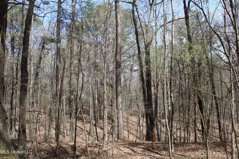 0 Highway 310, Como, MS 38619 photo 19