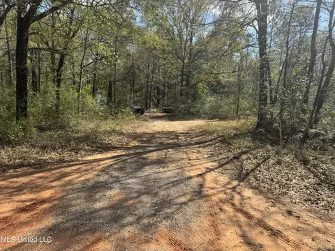 108 Sandy Hill Dr, Lucedale, MS 39452 photo 6