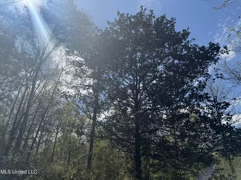 108 Sandy Hill Dr, Lucedale, MS 39452 photo 15