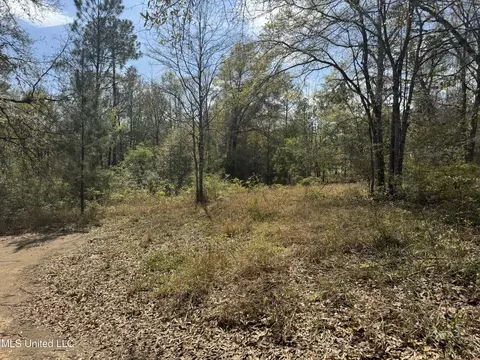 108 Sandy Hill Dr, Lucedale, MS 39452 photo 8