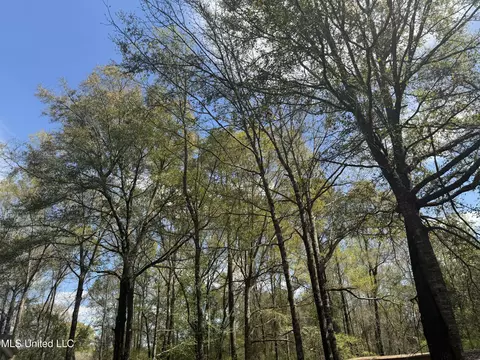 108 Sandy Hill Dr, Lucedale, MS 39452 photo 16