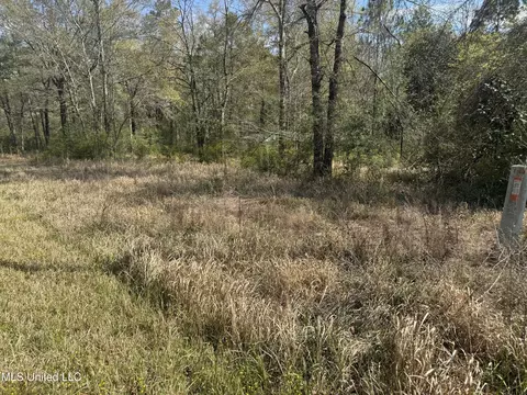 108 Sandy Hill Dr, Lucedale, MS 39452 photo 7