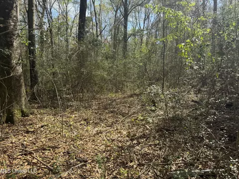 108 Sandy Hill Dr, Lucedale, MS 39452 photo 11