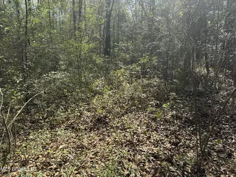108 Sandy Hill Dr, Lucedale, MS 39452 photo 12