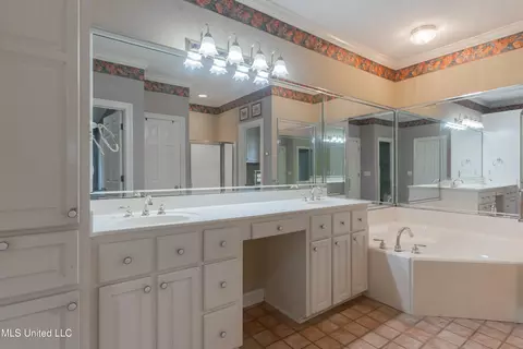Bath - 224 Chestnut Dr, Clinton, MS 39056 photo 1 of 8