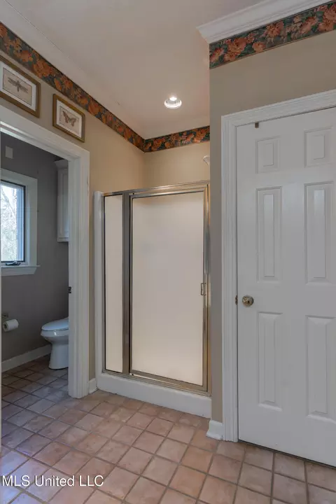 Bath - 224 Chestnut Dr, Clinton, MS 39056 photo 5 of 8