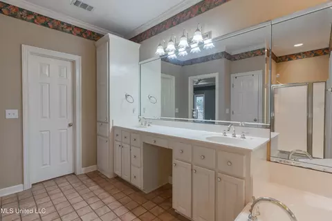 Bath - 224 Chestnut Dr, Clinton, MS 39056 photo 3 of 8