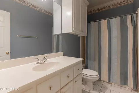 Bath - 224 Chestnut Dr, Clinton, MS 39056 photo 7 of 8