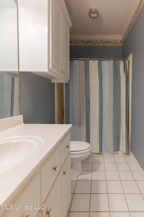 Bath - 224 Chestnut Dr, Clinton, MS 39056 photo 8 of 8
