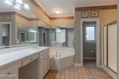 Bath - 224 Chestnut Dr, Clinton, MS 39056 photo 2 of 8