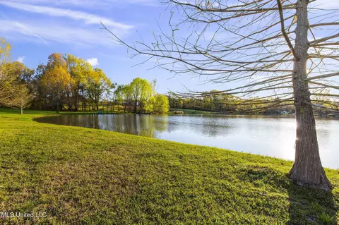 View/Area - 106 Chestnut Hill Rd, Flora, MS 39071 photo 1 of 4