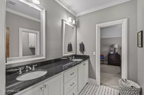 Bath - 106 Chestnut Hill Rd, Flora, MS 39071 photo 10 of 11