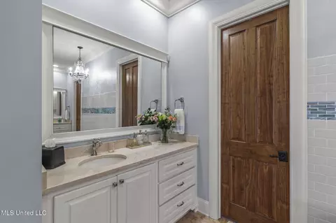 Bath - 106 Chestnut Hill Rd, Flora, MS 39071 photo 8 of 11