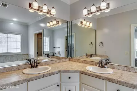 Bath - 700 Chambord Dr, Brandon, MS 39042 photo 1 of 2