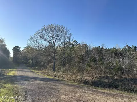 SE Vail Ln Lane, Ruth, MS 39662 photo 9