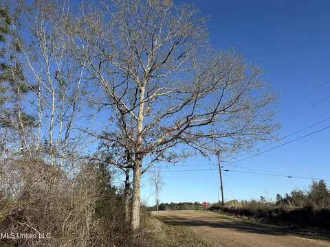 SE Vail Ln Lane, Ruth, MS 39662 photo 10