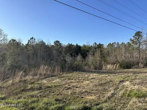 SE Vail Ln Lane, Ruth, MS 39662 photo 8