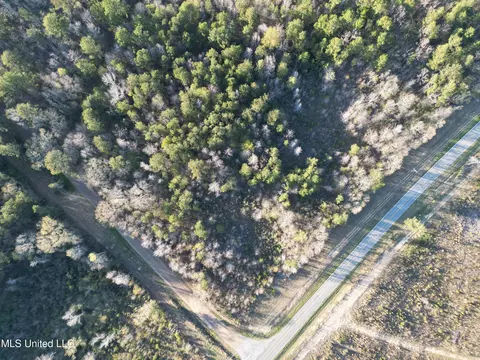 SE Vail Ln Lane, Ruth, MS 39662 photo 2