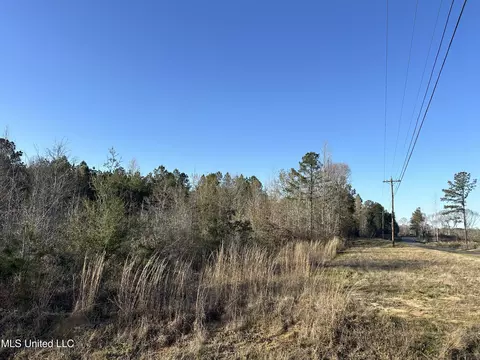 SE Vail Ln Lane, Ruth, MS 39662 photo 6