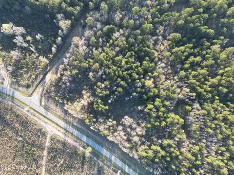 SE Vail Ln Lane, Ruth, MS 39662 photo 5
