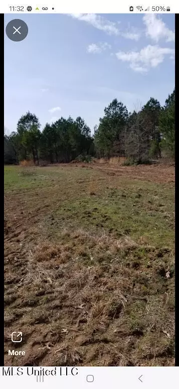 2904 Pisgah Rd, Weir, MS 39772