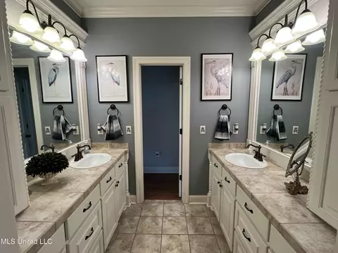 Bath - 408 Bridgestone Pl, Florence, MS 39073 photo 5 of 11