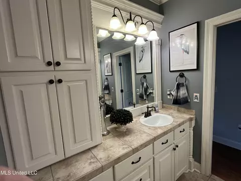 Bath - 408 Bridgestone Pl, Florence, MS 39073 photo 2 of 11