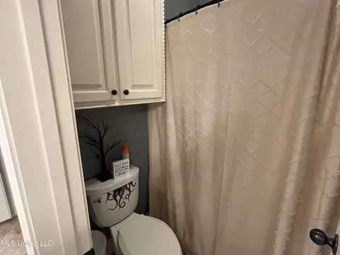 Bath - 408 Bridgestone Pl, Florence, MS 39073 photo 3 of 11