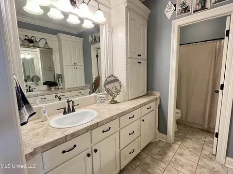 Bath - 408 Bridgestone Pl, Florence, MS 39073 photo 1 of 11