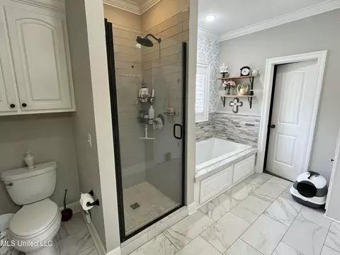 Bath - 408 Bridgestone Pl, Florence, MS 39073 photo 8 of 11