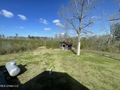 Exterior - 388 Delancey Rd, Braxton, MS 39044 photo 7 of 9