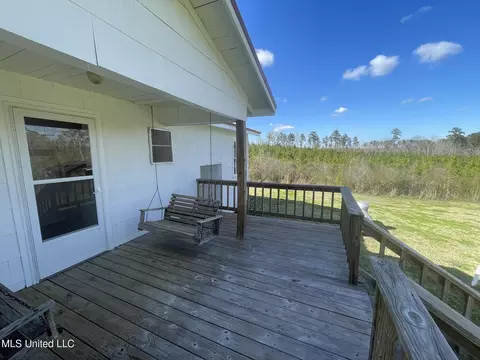 Exterior - 388 Delancey Rd, Braxton, MS 39044 photo 4 of 9