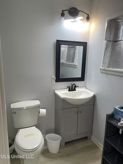 Bath - 388 Delancey Rd, Braxton, MS 39044 photo 3 of 3