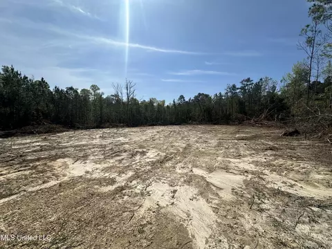 126 Will Thompson Rd, Picayune, MS 39466