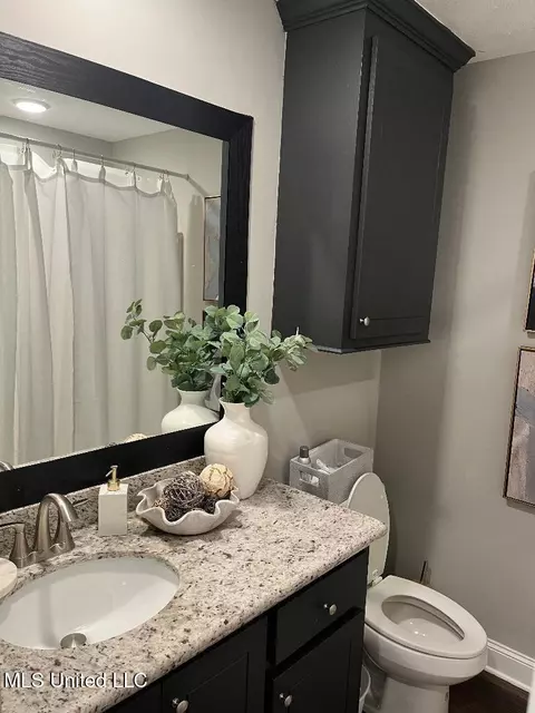 Bath - 606 Silver Cv, Pearl, MS 39208 photo 2 of 2
