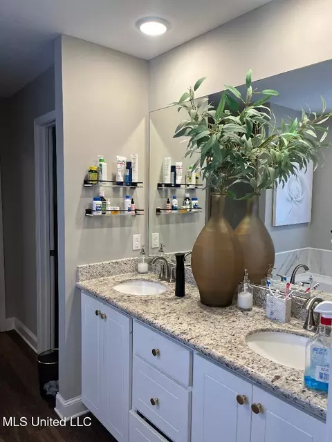 Bath - 606 Silver Cv, Pearl, MS 39208 photo 1 of 2