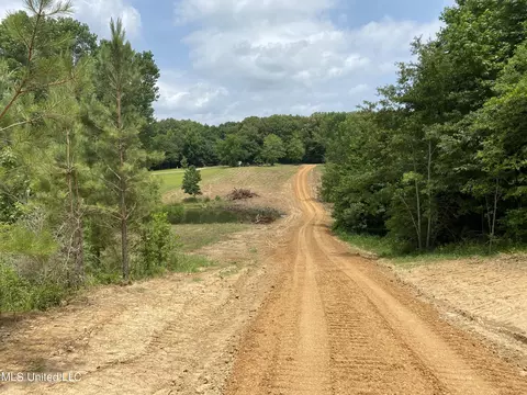 Mcmaster Road, Sarah, MS 38665 photo 4
