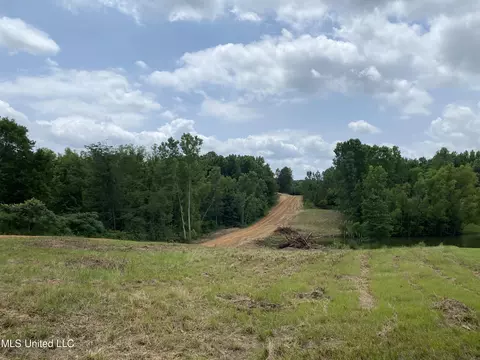 Mcmaster Road, Sarah, MS 38665 photo 3