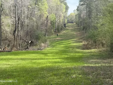 7000 Ms-570, Summit, MS 39666 photo 22