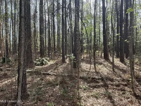 7000 Ms-570, Summit, MS 39666 photo 12