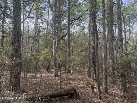 7000 Ms-570, Summit, MS 39666 photo 17