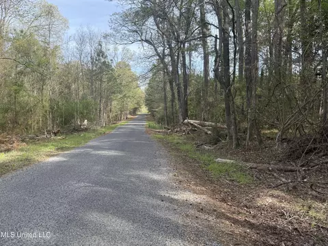 7000 Ms-570, Summit, MS 39666 photo 10