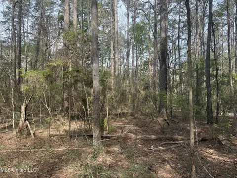 7000 Ms-570, Summit, MS 39666 photo 18