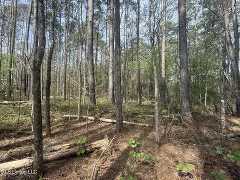 7000 Ms-570, Summit, MS 39666 photo 14