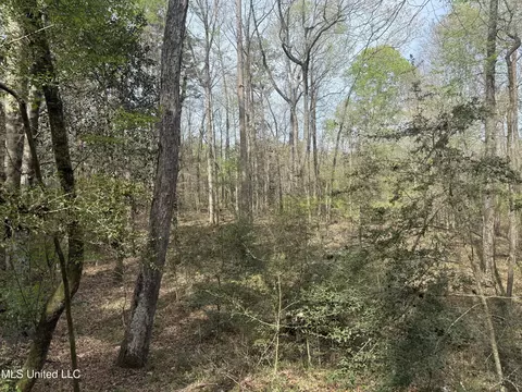 7000 Ms-570, Summit, MS 39666 photo 25