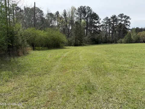7000 Ms-570, Summit, MS 39666 photo 7