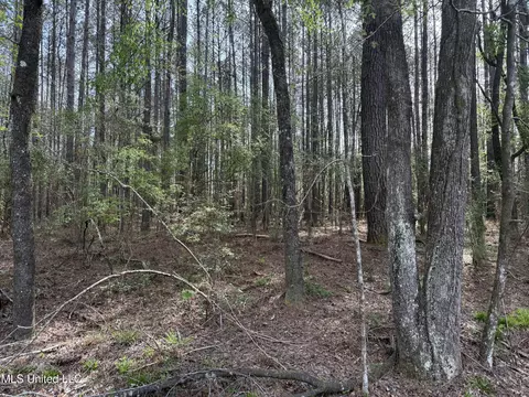 7000 Ms-570, Summit, MS 39666 photo 11